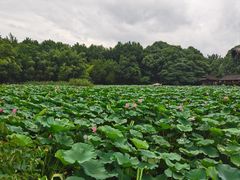 -兰亭风景区