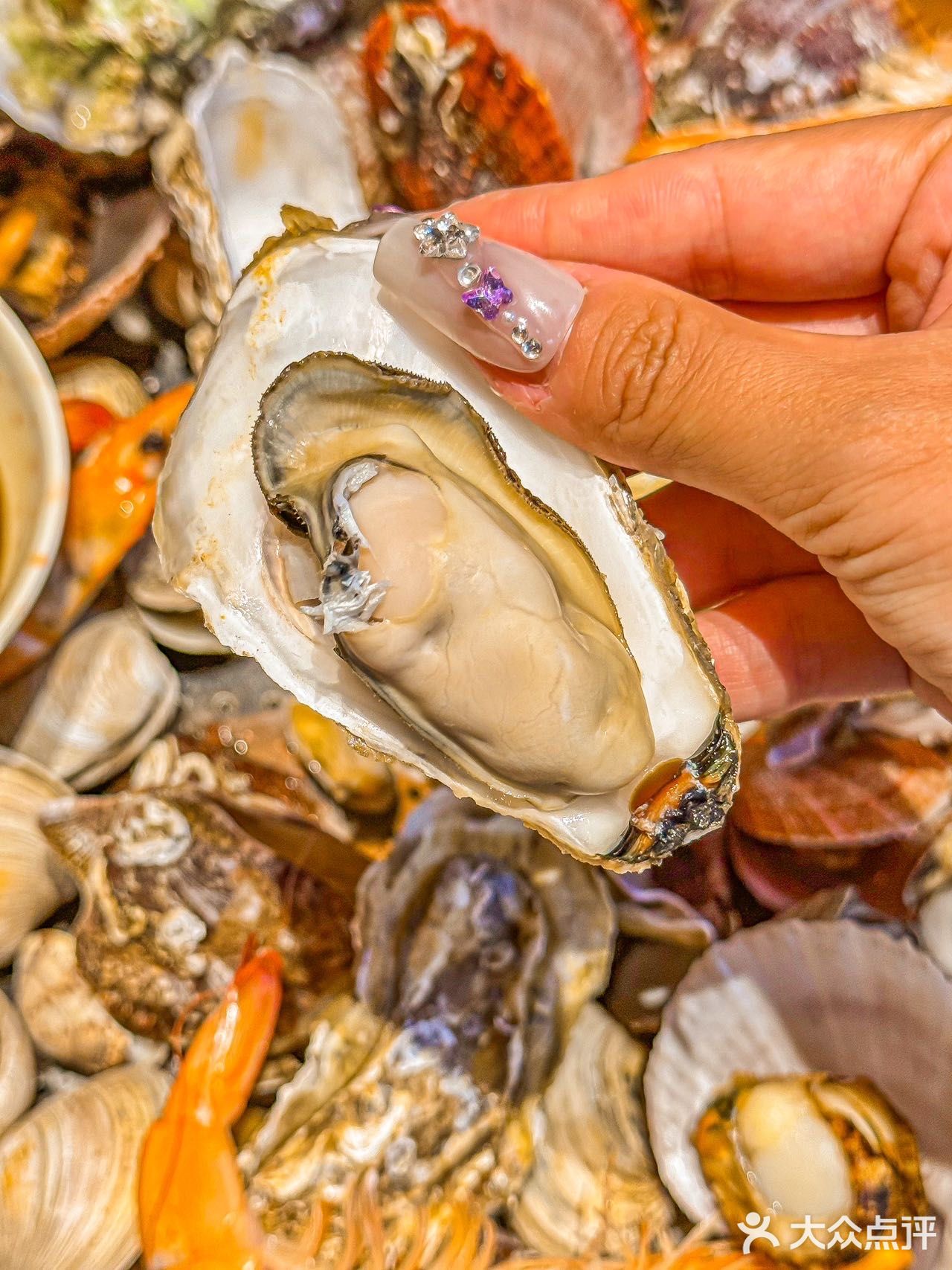 来青岛吃当地正宗特色菜，蒸汽海鲜🦞来一锅