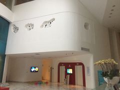 -深圳东部华侨城瀑布酒店