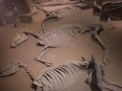 -洛阳周王城天子驾六博物馆