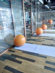 -心俞普拉提运动