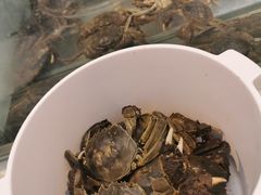 -川骄海鲜自助(河东店)