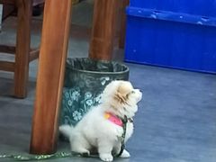 -家的味道餐厅·新鲜实惠
