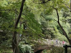 -庐山风景名胜区-黄龙潭