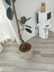 -HEYAN荷妍专业脱毛连锁机构