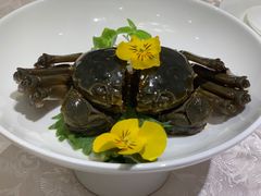 -新光酒家·河豚·海鲜·蟹料理(浦东店)