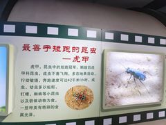 -上海昆虫博物馆