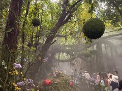 -青青世界