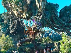 -奥兰多迪士尼动物王国乐园