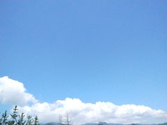 -后柳水乡