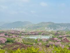 -四明山国家森林公园