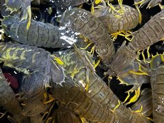 -海鲜e族(马王堆店)