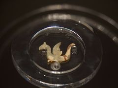 -鸿山遗址博物馆