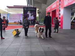-东浩兰生上海世博展览馆