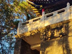 -青龙山国家森林公园