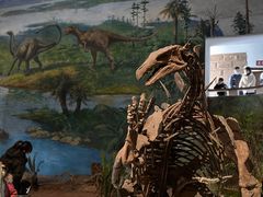 -自贡恐龙博物馆