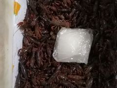 -马王堆海鲜水产市场