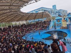 -华夏文旅海洋公园