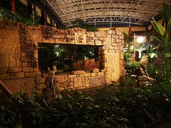 -郑州银基黄帝宫御温泉