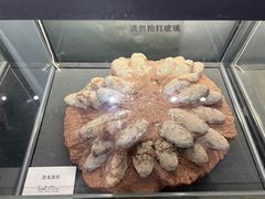 -大连自然博物馆·地球展厅