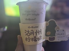-猫的魔法密林(衣裳街店)