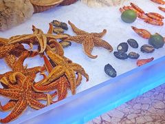 -美盛喜来登大酒店-盛宴标帜餐厅