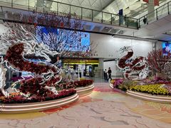 -香港国际机场