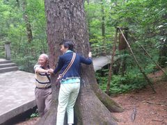 -五营红松林海景区