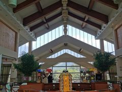 -雅安楠水阁温泉酒店