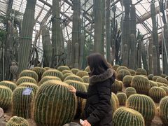 -南山植物园