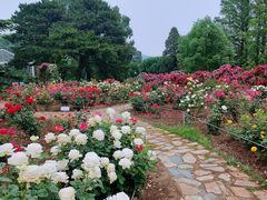 -国家植物园南园