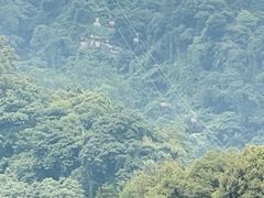 -青城山