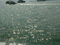 -鼓浪屿钢琴博物馆