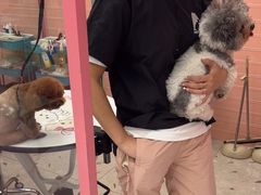 -FAELING PETS美天灵宠物(合生汇店)