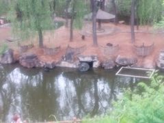 -石家庄市动物园