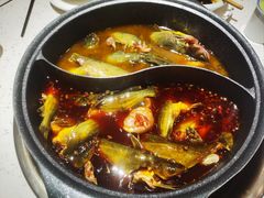 -佬缸炮江湖川菜(玉林店)