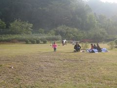 -火炉山森林公园