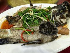 -天天海鲜城·海鲜大排档(新溪店)