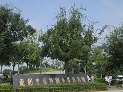-秦始皇帝陵博物院-丽山园