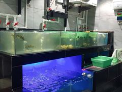 水产区-阿妹小海鲜(下角店)