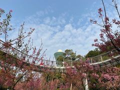 -狐尾山公园