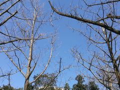 -杭州半山国家森林公园