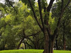 -晓港公园