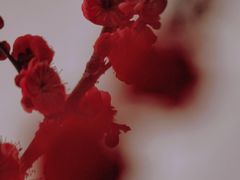 -杭州城北体育公园