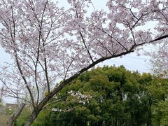 -长田漾湿地公园