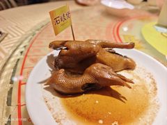 卤汁乳鸽-石岐佬中山菜馆(张溪店)