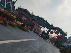 -荷兰花海