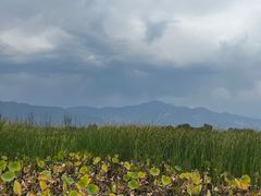 -野鸭湖国家湿地公园