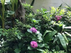 -尚贤河湿地