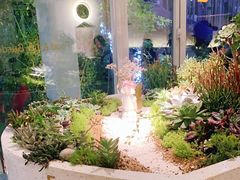 -春树下·树屋花房西餐厅(罍街AS1980店)